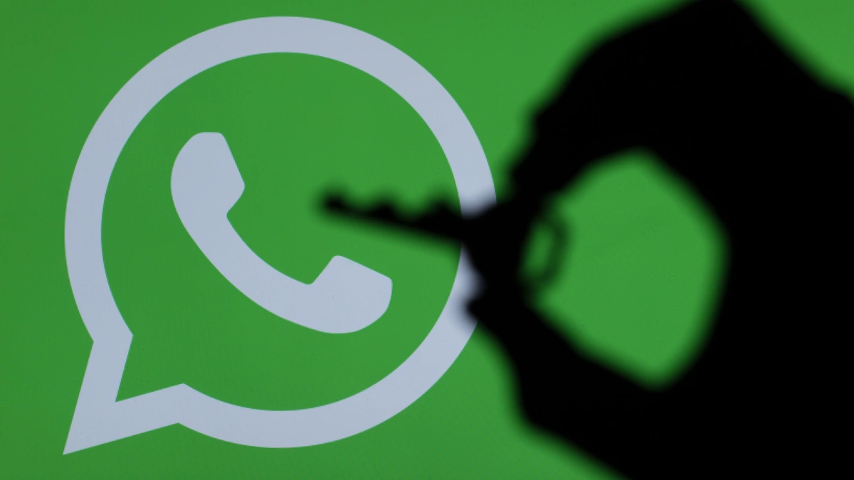 How to find users on WhatsApp? WhatsApp activity filtering helps you find your target precisely.
